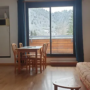 2 Et Terrasse Ensoleillée Le Mont-Dore